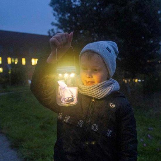 Jongen Met Wenslichtje